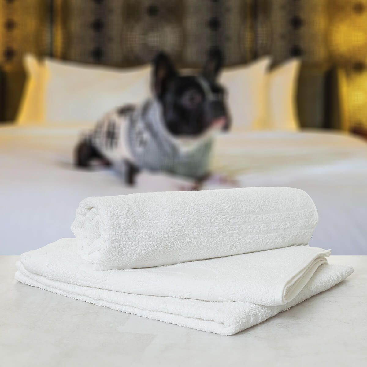 Toalha de Banho Pet - 68x120 cm - Gramatura 350g/m2 - Peso: 285g